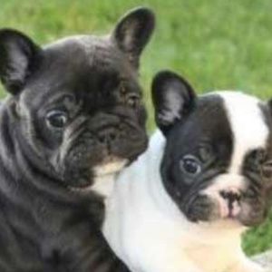 Meet your Posher, Elaine